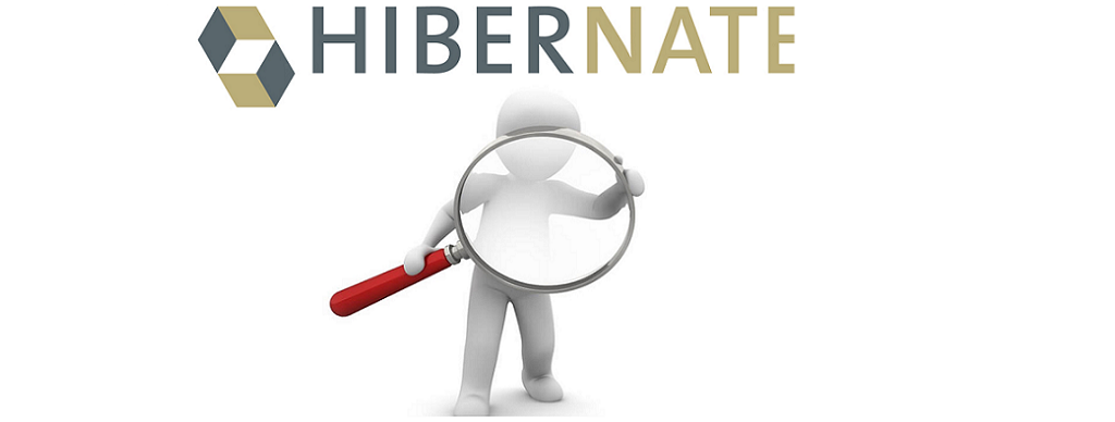 Hibernate set